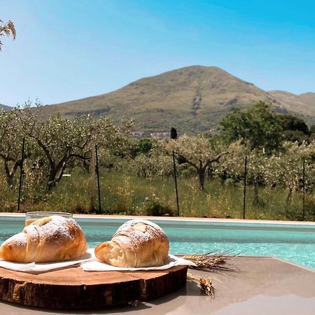 Torretta  Marosa Casa Vacanze المظهر الخارجي الصورة